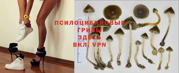 мяу мяу мука Надым