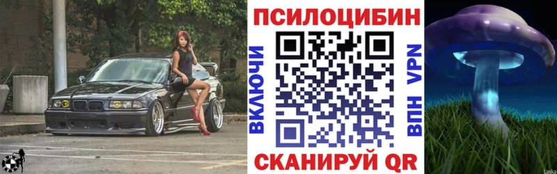 Псилоцибиновые грибы Cubensis  купить наркотик  Подпорожье 