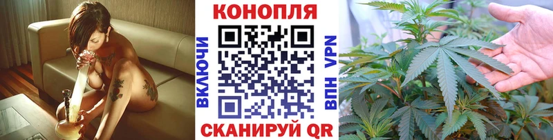 Конопля план  наркота  Подпорожье 
